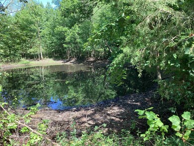 000 Hempstead 24 Rd, Blevins, AR 71825 - photo 2