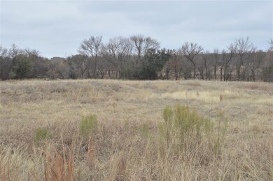 118 White Wing Ct, Weatherford, TX 76088 - photo 3