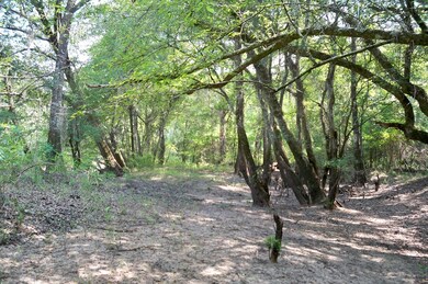 00 Findley Cemetery Rd, Lyons, GA 30436 - photo 4