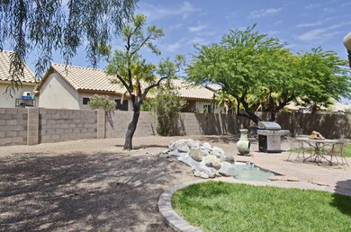 Back Yard Overview