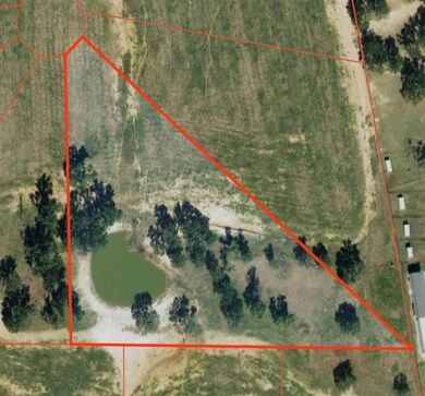 2025 Swallow Tail Ct, Poolville, TX 76487 - photo 6