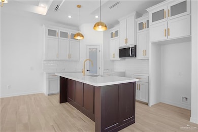 2809 E Palo Blanco Ave, Hidalgo, TX 78557 - photo 6