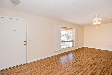 10006 W Deanita Ln, Sun City, AZ 85351 - photo 3