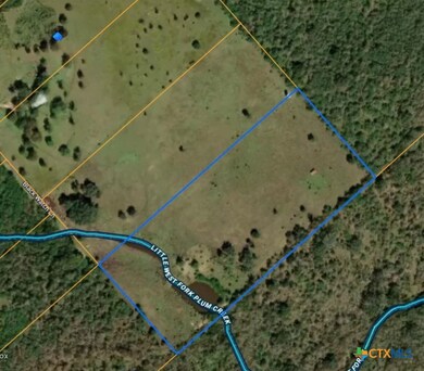 415 Black Watch Ln, Lockhart, TX 78644 - photo 4