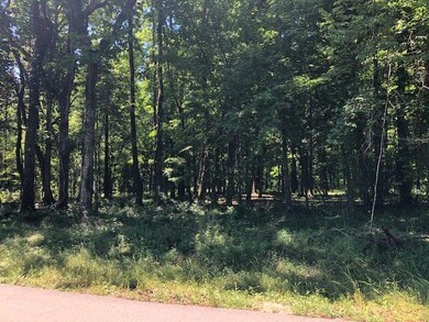 XX Oakwood Trail, Crawfordville, FL 32327 - photo 6