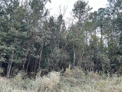 0 Taylor Ave unit 7688070, Irvington, AL 36544 - photo 3