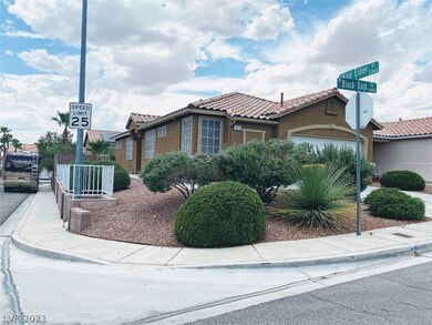 10115 Black Duck Ct, Las Vegas, NV 89117 - photo 3