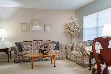 16717 Norwood Dr, Tampa, FL 33624 - photo 7