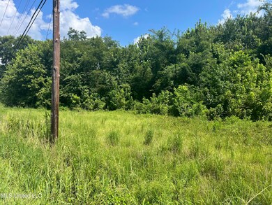 580 S Highway 61, Natchez, MS 39120 - photo 5