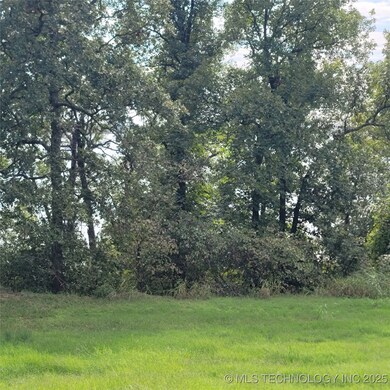 35 E Breckenridge, Eufaula, OK 74432 - photo 5