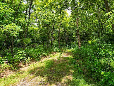 0 Elkton Farm Rd, Forest, VA 24551 - photo 4