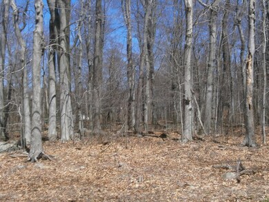 0 Logger Rd, Greene Township, PA 18325 - photo 6