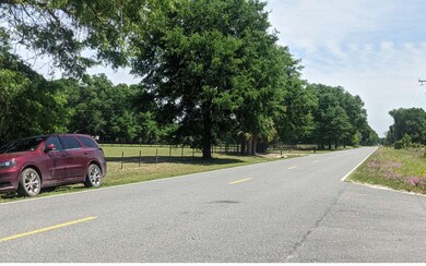 TBD Off Cr 248, Obrien, FL 32071 - photo 4
