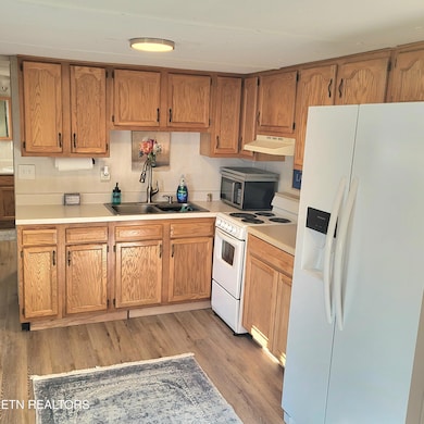 1542 Millstone Beach Rd, Dandridge, TN 37725 - photo 6