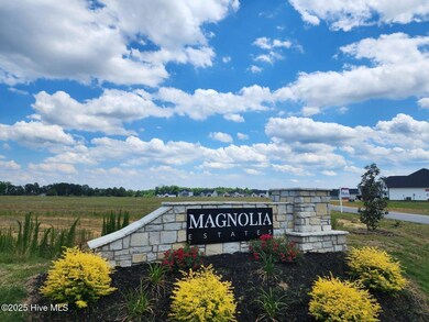Magnolia Monument Picture (2)
