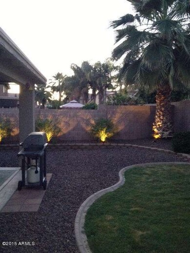 Palms illuminated