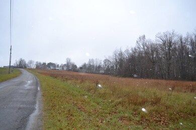 0 Clear Creek Ln unit 201783, Clarkrange, TN 38553 - photo 7