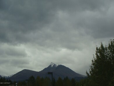 Mountain Views