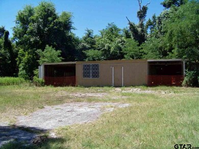 16254 Janan Dr, Tyler, TX 75707 - photo 6