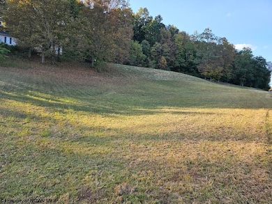 307 Dunham Cut, Belington, WV 26250 - photo 3