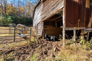 671 Island Hollow Rd, Hot Springs, NC 28743 - photo 5