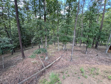 6292 Trough Rd, Moorefield, WV 26836 - photo 3