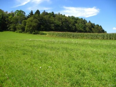 0 Pine Ridge Rd unit 512930, Andreas, PA 18211 - photo 5