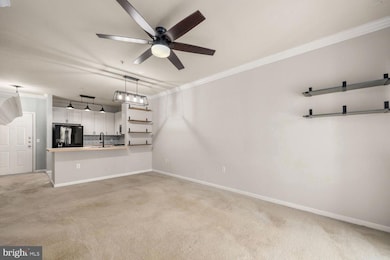 Marquis At Vienna Station unit 329, Vienna, VA 22181 - photo 7