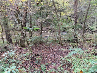 0 Antioch Rd unit CAR4315702, Lake Lure, NC 28746 - photo 2