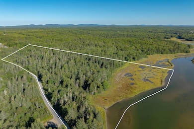 Lot 54 Pinkham Bay Bridge Rd, Steuben, ME 04680 - photo 2