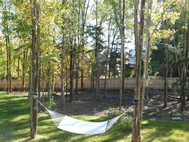 Back yard