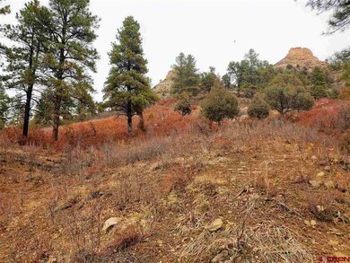 0 Bell Flower Ct unit 767546, Durango, CO 81301 - photo 4
