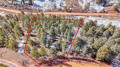 626 Little Topsey Dr, Cripple Creek, CO 80813 - photo 4