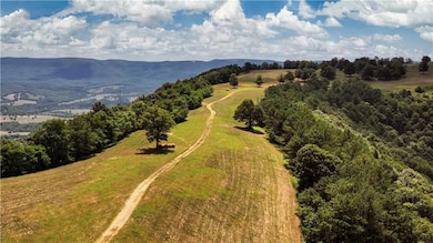 0 Tbd Hwy 74e, Mount Judea, AR 72655 - photo 6