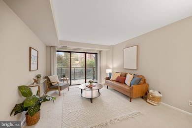 The Astoria unit 112, Arlington, VA 22201 - photo 3