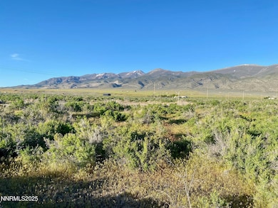 22510 Prosser Ct, Lovelock, NV 89419 - photo 2