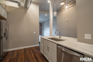 210 E River Dr unit 202, Davenport, IA 52801 - photo 5