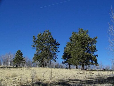 203 Falcon Rd, Como, CO 80432 - photo 3