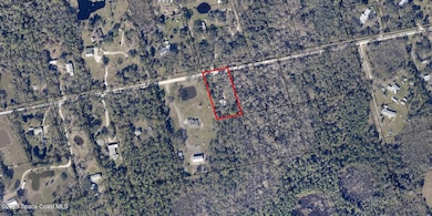 5365 Harrison Rd, Mims, FL 32754 - photo 4