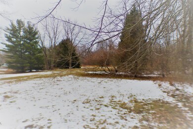 9415 1/2 Union Pier Rd, Union Pier, MI 49129 - photo 3