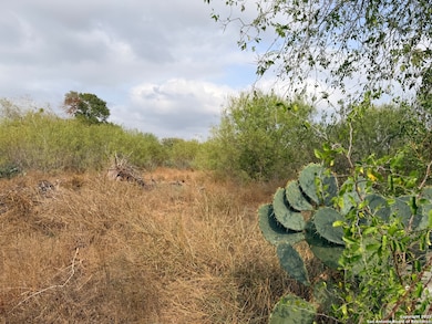 569 Couser Blvd, Charlotte, TX 78011 - photo 4