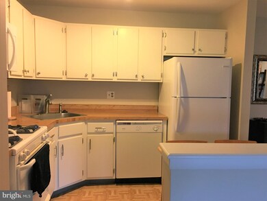 2003 Raven's Row, Evesham Township, NJ 08053 - photo 5