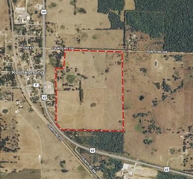 Screen Shot 2019-08-05 at 2.33.52 PM