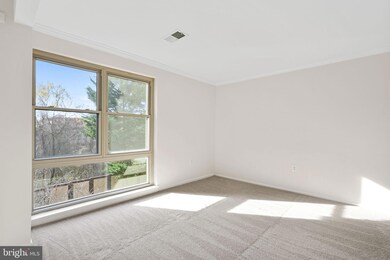 2204 Greenery Ln unit 301, Silver Spring, MD 20906 - photo 5