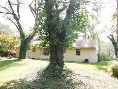 290 - Backyard to House
