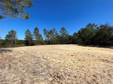 view from left side of lot.