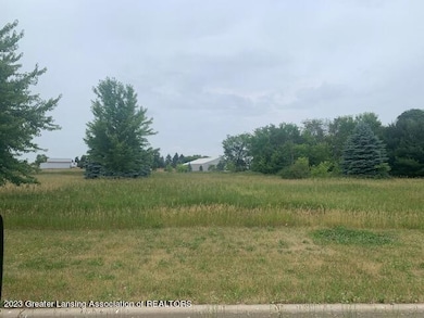 2875 Trillium Creek Way, Saint Johns, MI 48879 - photo 5