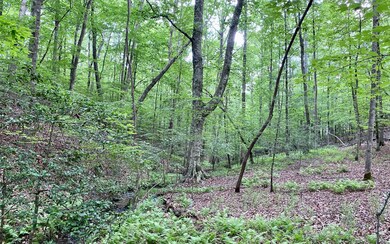 Additional View