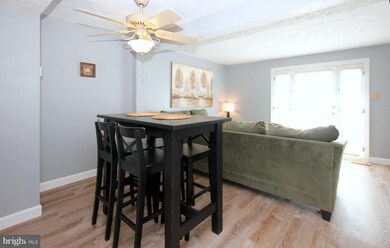 5930 Rowanberry Dr, Elkridge, MD 21075 - photo 6