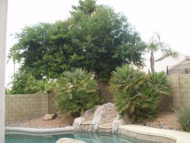 Pool View 2